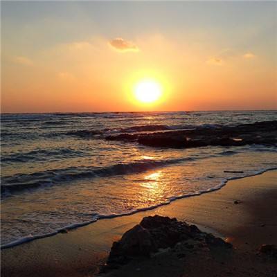 星空app官方版app下载