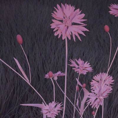 8868体育官方版最新版