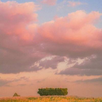 香港2023正版免费资料app下载