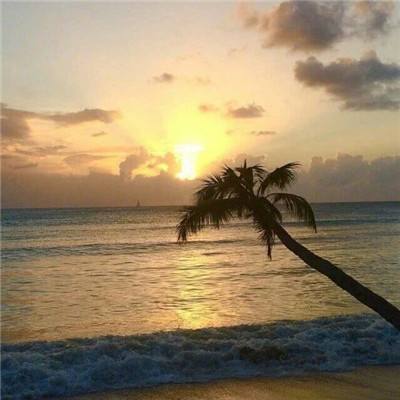 PG电子平台截图