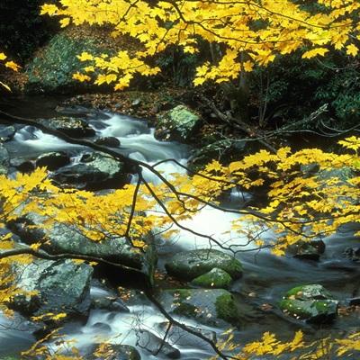 金沙集团9500官网下载手机版