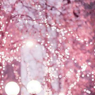 半岛官方网站入口下载